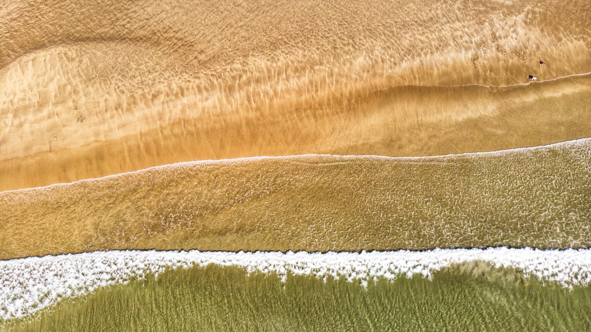 an aerial view of a sandy beach and ocean