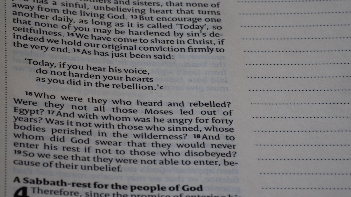 Bible verses about today and the sabbath are shown.