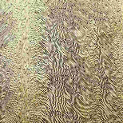 Hunter Velvet Fabric – Gold