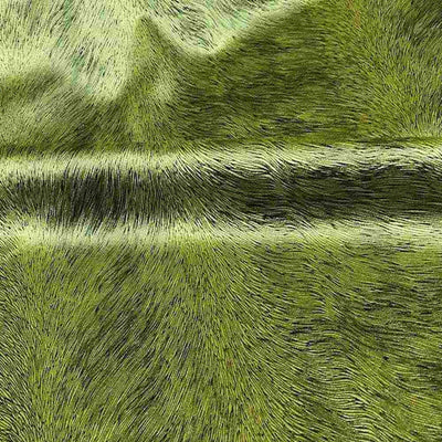 Hunter Velvet Fabric – Green