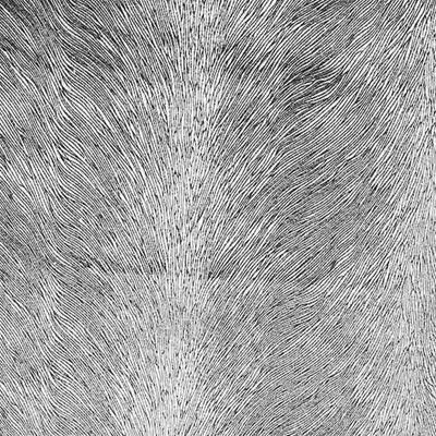 Hunter Velvet Fabric – Natural