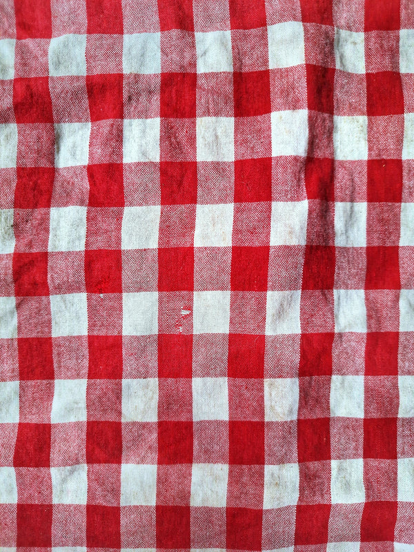 Red and white checkered tablecloth with a classic pattern and slight wear.