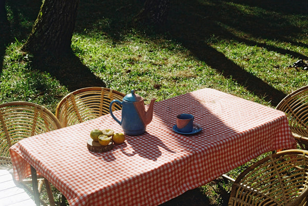a table with a red and white checkered table cloth