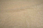 beige BRILLIANT Crushed Fabric by the Yard - 48 Inch Wide