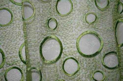 Crystal Embroidered Lace Fabric – Apple Green Crystal