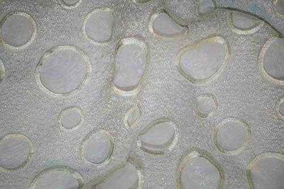 Crystal Embroidered Lace Fabric – Ivory Crystal
