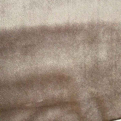 Shiny Velvet Fabric – Champagne