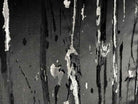 black Des Arts Jacquard Fabric by the Yard - 55 Inch Wide