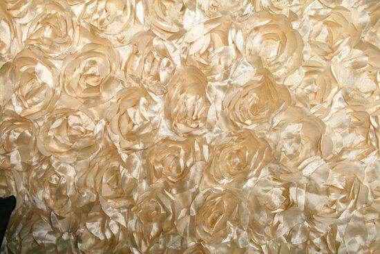 beige LOVEABLE Embroidered Taffeta Fabric by the Yard - 54 Inch Wide